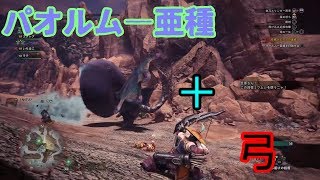 モンハンアイスボーン実況　【パオルム―亜種】