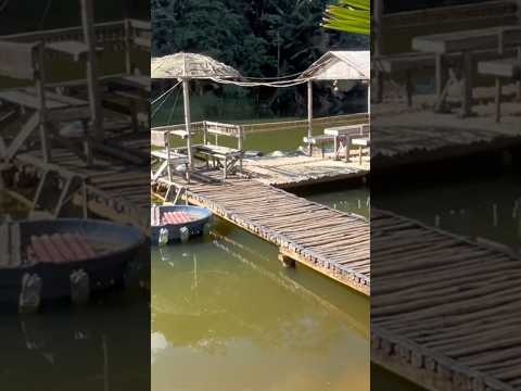 fiquei completamente apaixonada por tamanha beleza nesse lugar!