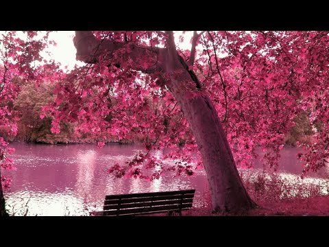 Удивительная красота природы.Фильм Натальи Егоровой .