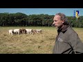 Natuur en Zo TV: begrazing - deel 1