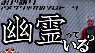 【ストグラ切り抜き】みんな知りたい幽霊のこと～アメザリ平井のソロトーク|ラジオ用|睡眠用【ストグラ雑談/ストグラ怪談/平井のおっちゃん】