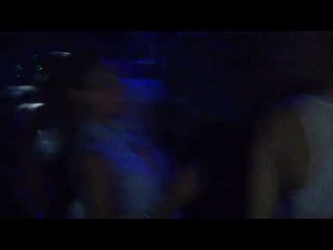 Colombo 17 Aniversario Animalia