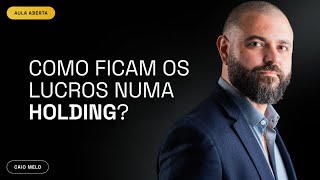 Como ficam os lucros numa Holding?