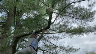 Cover art for I Suppose I'm an Inconvenience