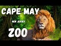 Cape May Zoo Full Tour 2025 | 50+ Animals | Free to Visit