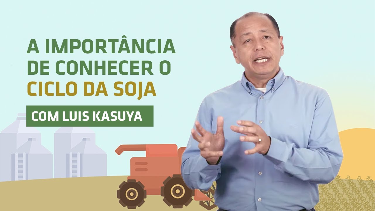 O ciclo da soja e seus impactos