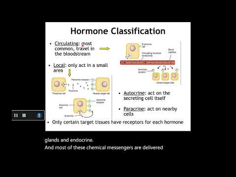 Endocrine System Pt 1