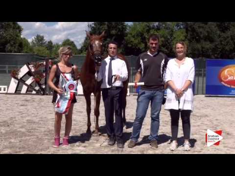 2nd place N.28 JANEIRA - Festival FVG 2015 - Junior Females Championship (Class 15)