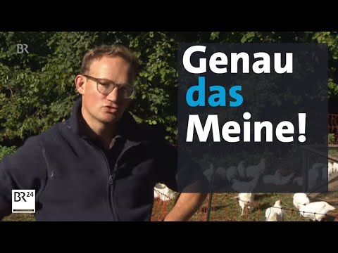 Ökologische Hühnerhaltung: Vom Arzt zum Biobauern | Abendschau | BR24