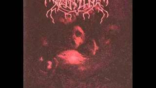 Weakling - This Entire Fucking Battlefield [Full]