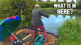 Fishing a Small Pond: What Fish are in here?