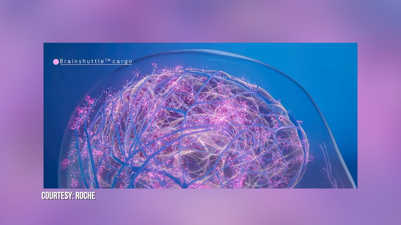 Alzheimer's drug development pipeline and Brainshuttle technology for drug targets in the brain