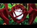 Сергей Чекалин Как хороши как свежи были розы 
