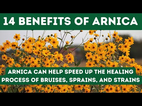 14 BENEFITS OF ARNICA TO RELIEVE PAIN, INFLAMMATION, BRUISES, SPRAINS, AND MUSCLE STRAINS