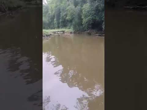 Lugar de pesca #cordoba #vallehermoso #pesca