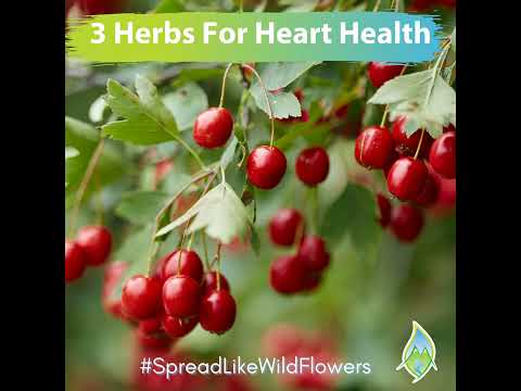 3 Herbs For Heart Health