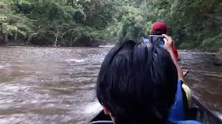 preview picture of video 'Sg.Tahan boat ride Taman Negara.'