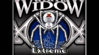 snoop dogg, soopafly, e white & Rbx   not like it was Remix