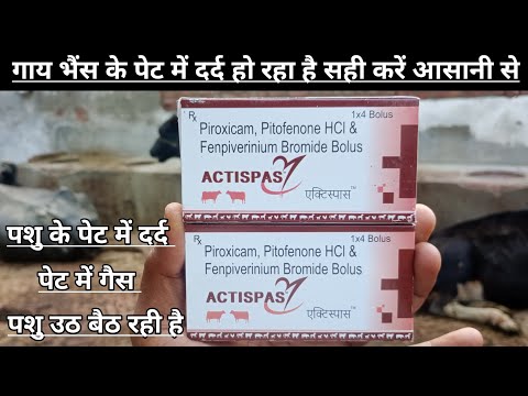 Pitofenone Powder (API)