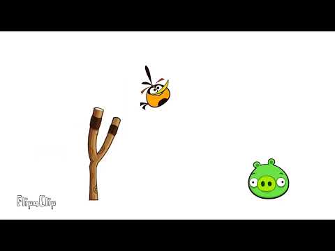 Angry birds