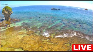 [問卦] 要看小琉球的海龜還是沙灘啊??