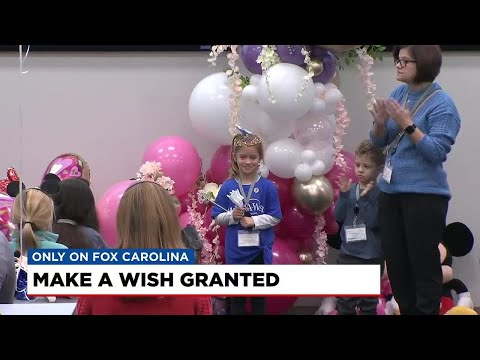 Make-A-Wish granted for Greer girl battling rare disease