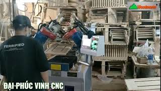 Máy cấy ốc vào tựa ghế | máy khoan cấy sò tự động Woodmaster