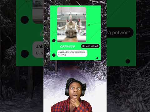 #polska #czat #ishowspeed #kot #duet