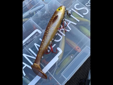 morefish - Know how - Hechtangeln - Gummifisch mit Shallow Rig Montage