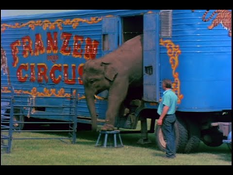 Cotton Candy and Elephant Stuff trailer