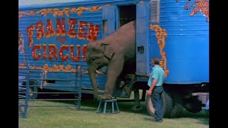 Cotton Candy and Elephant Stuff trailer