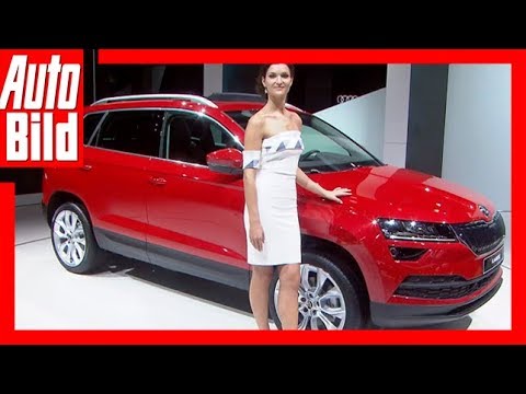 Hostessen (IAA 2017)