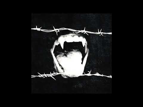 [FREE] Maneskin x Alt Rock Type Beat - “Razor Teeth”