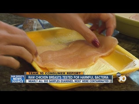 Consumer Reports test shows 97 percent of chicken samples contaminated