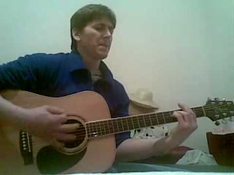 Jiří Schelinger - Jsem prý blázen jen (cover)