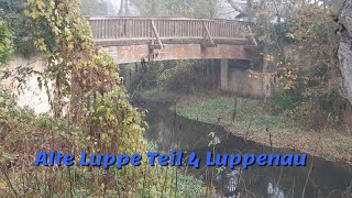 Alte Luppe Teil 4 Luppenau