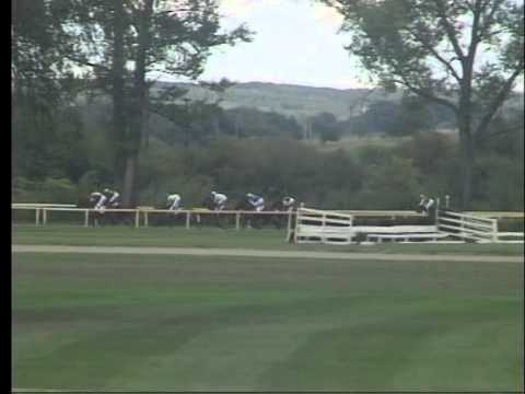 LL, 5. 9. 2015, 6. dostih - CENA SPOLEČNOSTI PILECKÝ