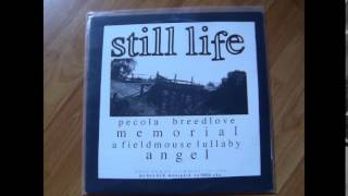 Still Life / Jara - Split LP (full)