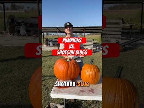 Shooting bigger and bigger pumpkins with shotgun slugs