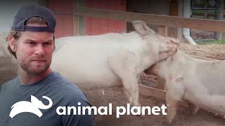 Thumbnail del capítulo