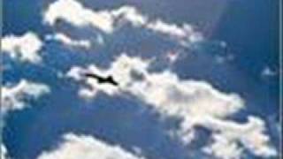 Niney The Observer Presents King Tubby -Freedom Dub