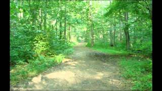 preview picture of video 'Wolf's Hollow County Park 7/13/2011'