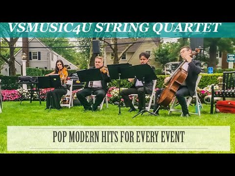 Promotional video thumbnail 3 for VSmusic4u Wedding & Event Musicians