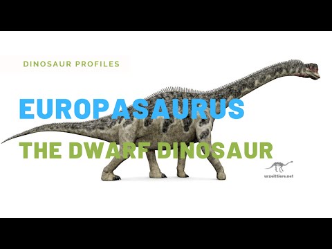 Europasaurus holgeri || The Dwarf Dinosaur !