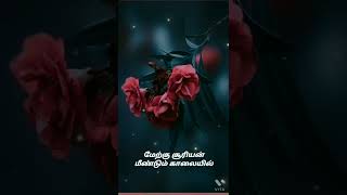 Download lagu Yaaro en nenjai theendiyathu song lyrics 💓 @ T.A Editz@ mp3 Download lagu Yaaro en nenjai theendiyathu song lyrics 💓 @ T.A Editz@ mp3