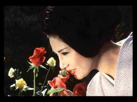 Showa Kare Susuki | Naomi Tani Lyrics, Meaning & Videos