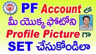 How to Set Profile Picture on your EPF Account in Telugu