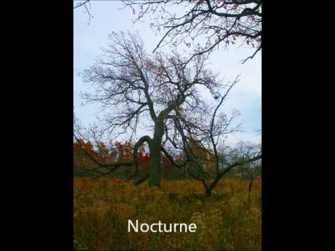 Gustaf Hägg: Nocturne in F Major, Opus 21, No. 2