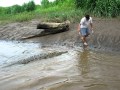 近距離..徒手餵鱷魚..