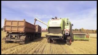 В Иркутской области, по предварительным данным намолочено 840,8 тыс. тонн зерна